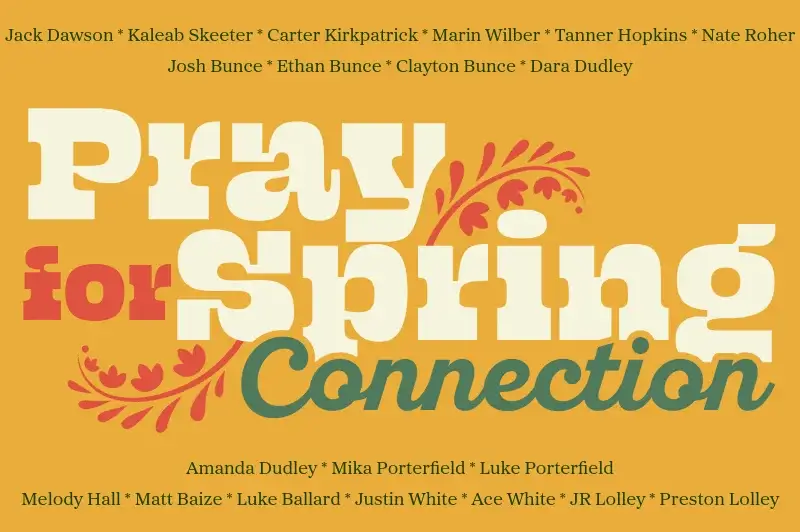Spring Connection