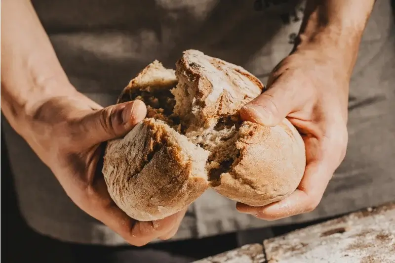 The Bread of Life